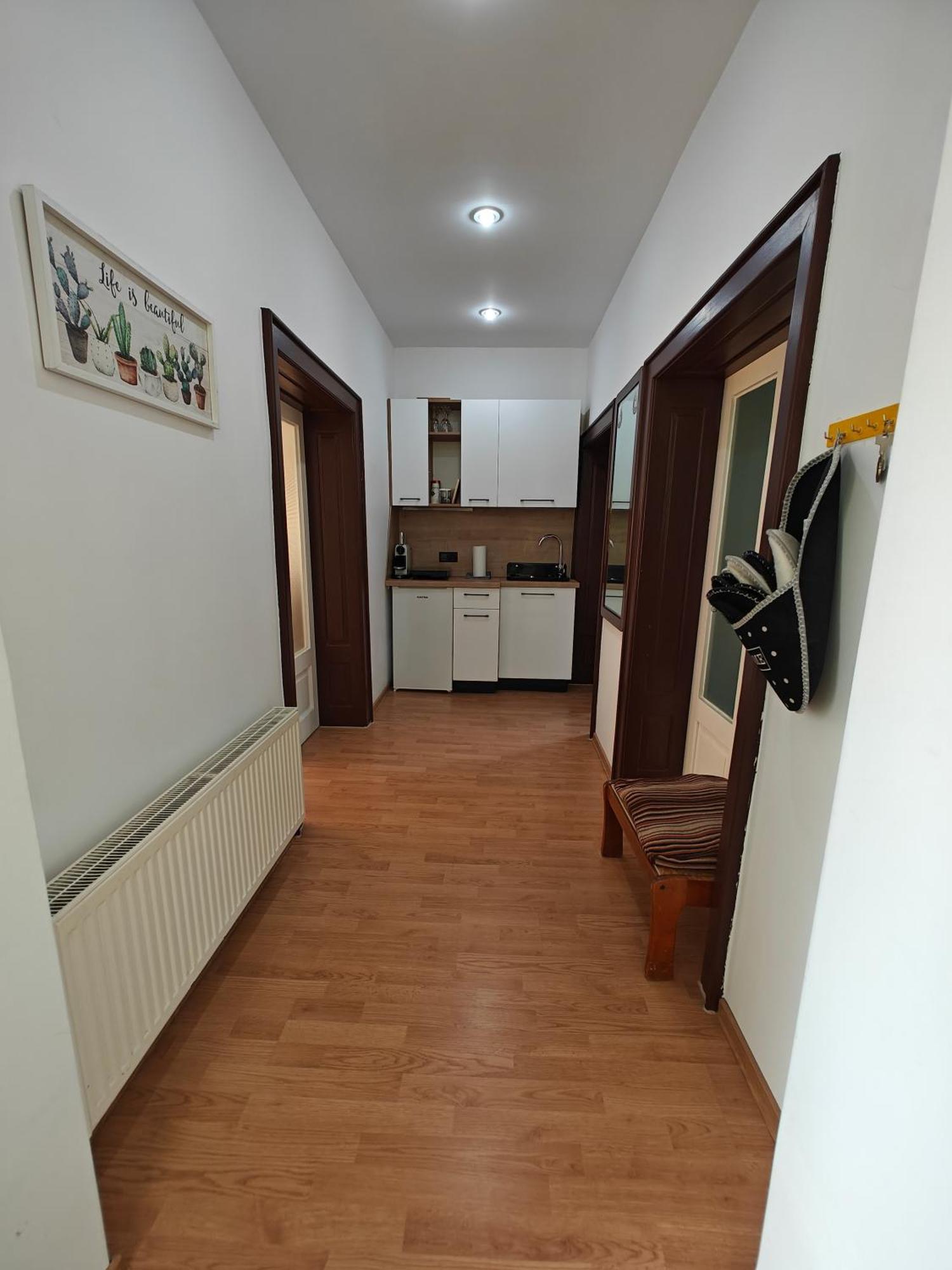 Transsylvanian Wolves Apartment Sibiu Extérieur photo