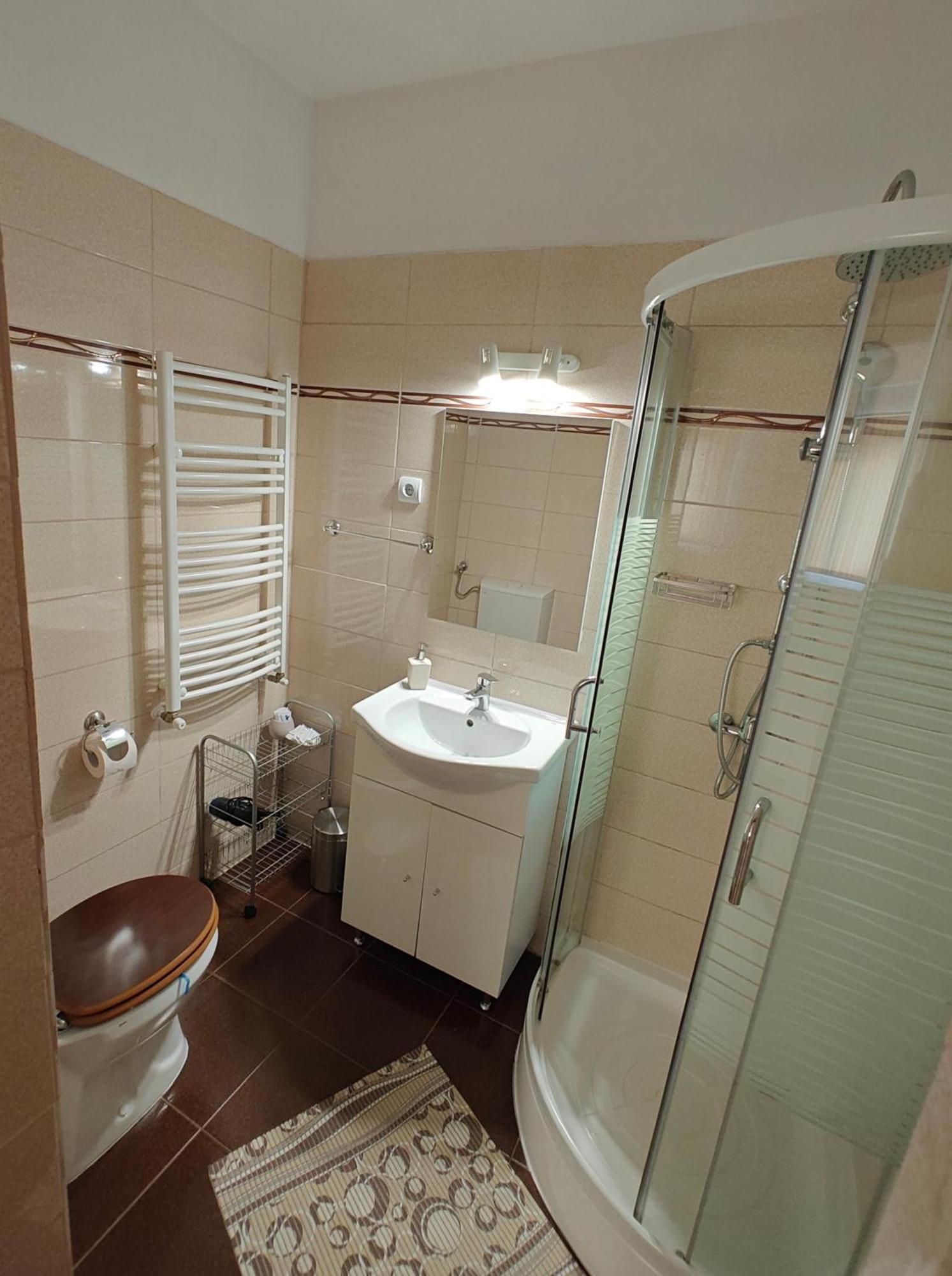 Transsylvanian Wolves Apartment Sibiu Extérieur photo